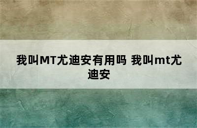 我叫MT尤迪安有用吗 我叫mt尤迪安